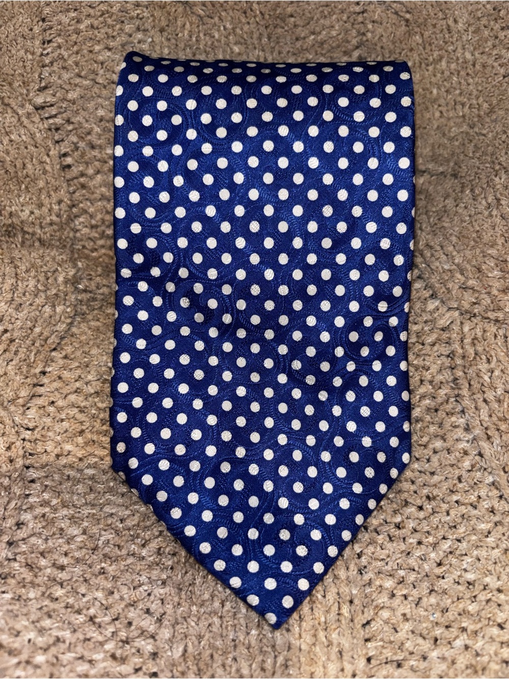 Ferrell Reed Blue White Polka Dot Silk Jacquard Tie